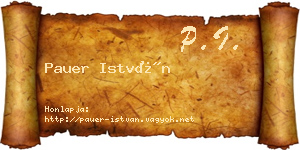 Pauer István névjegykártya